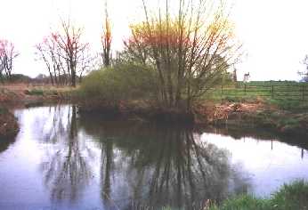 Die Oker im Landkreis Wolfenbüttel